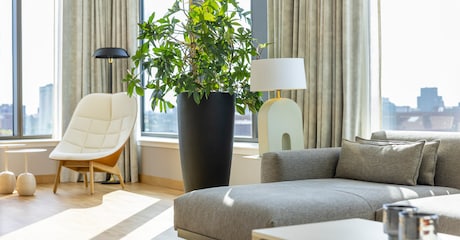 Room Presidentiële Suite met uitzicht